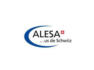 Alesa铣刀1311.0480图2