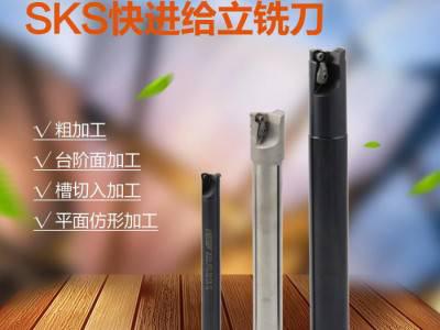 耐斯卡特铣削刀具 SKS快进给立铣刀杆 SKS-04/05/06/08立铣刀杆图1