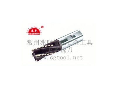 晨光YMXX20~63 / YMXM20~63 / YMXT50~100铣刀图3