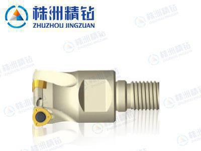 大进给铣刀可换式刀头（W形刀片）QCH-20-WPGT05-M10-02图1