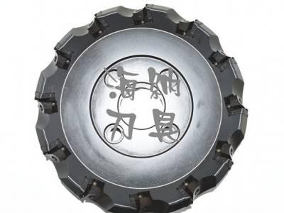 株洲钻石平面铣刀盘FMA03-250-C06-SE15-12图3