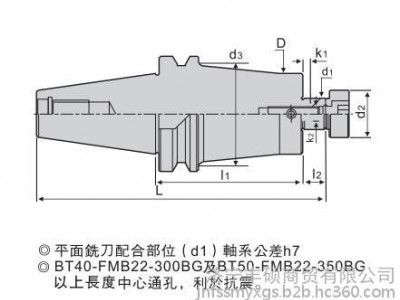 台湾SKIF平面铣刀柄BT/FMB/A平面铣刀柄 加长斜度柄BT40 BT50图3