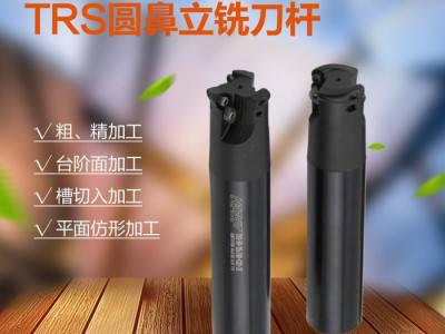 nextcut耐斯卡特切削刀具 TRS-4R 12-21mm 圆鼻立铣刀杆牛鼻刀把图3