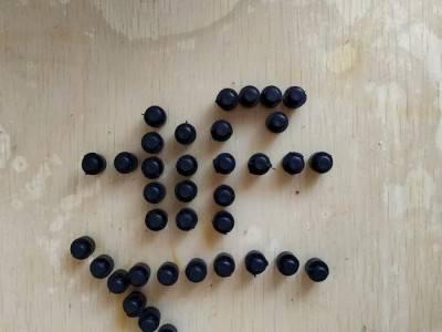 兴伟 大量生产 天然橡胶胶塞 电镀保护堵孔胶塞 螺丝锥形胶塞图3