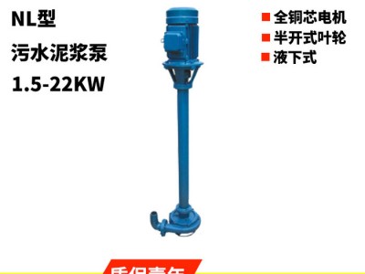 源头厂家 NL污水泥浆泵泥浆水泵 直立式排污泵 铰刀式污水泵图2