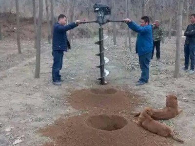 植树立柱多功能挖坑机 合金钻头工地施工光伏打桩电线杆打坑机图1