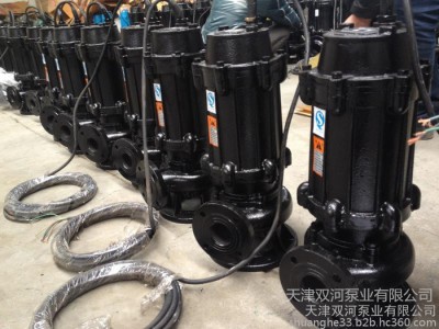 WQAS切割泵 铰刀污水泵 潜水污水泵 **图6