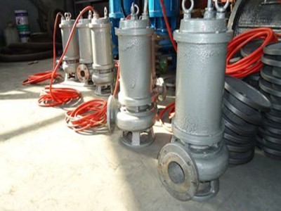铰刀式污水泵 一体化污水泵站 污水强排泵 液下泥浆泵图2