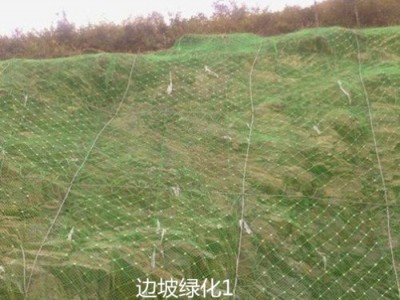 正源 绿化喷薄网  勾花网  菱形网  铰刀网  护坡网图4