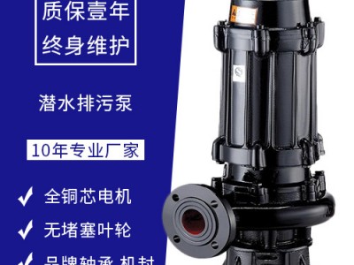 上海贝德WQ排污泵污水泵潜水排污泵带铰刀潜污泵污水提升泵厂家现货图1