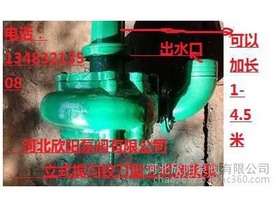 100NWL立式长杆泵|加厚立杆污|自带铰刀长杆泵|3寸杆泵 4寸杆泵 立式污水泵图1