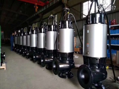 津东200WQ 污水潜水泵 污水潜水泵价格 铰刀污水泵图1
