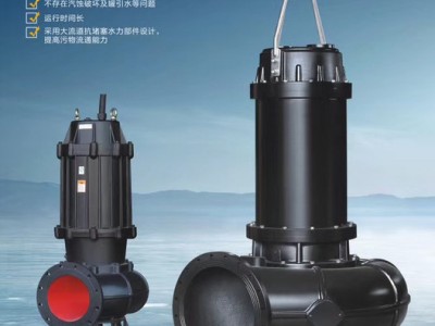 WQAS切割泵 无堵塞污水泵 铰刀切割式污水泵 厂家供应图1