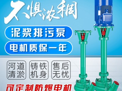 NL立式泥浆泵三相380v污水泵带铰刀淤泥长杆泵图1
