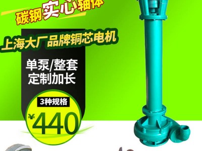 NL立式泥浆泵三相380v污水泵带铰刀淤泥长杆泵图4