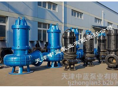 湖北大口径污水泵/铰刀式污水泵/大流量污水泵型号图2