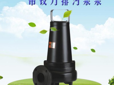 切碎式潜水排污泵 带绞刀污水污物泵 3寸铰刀泵 化粪池泵图2