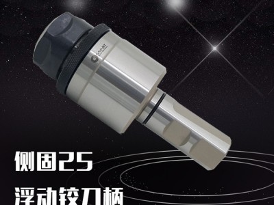 SAVANTSV-FTER25-D25-C 铰刀柄图2
