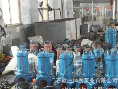 潜水泵 无堵塞排污泵 大流量立式污水泵 带铰刀潜污泵生产图1