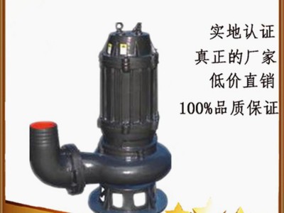 潜水泵 无堵塞排污泵 大流量立式污水泵 带铰刀潜污泵生产图3