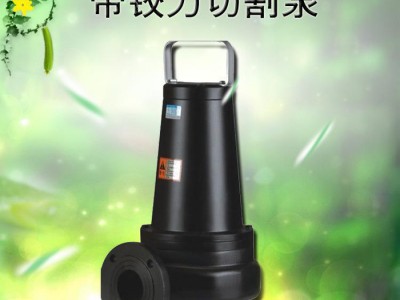 带铰刀切割装置抽粪泵 离心泵 厕所抽粪泵  化粪池沼气池专用图3