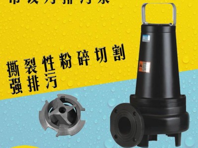 带铰刀切割装置抽粪泵 离心泵 厕所抽粪泵  化粪池沼气池专用图2