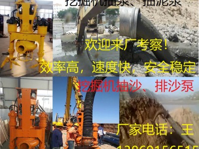 耐磨挖机抽沙泵-双铰刀挖掘机泥沙泵-液压泥浆泵图8
