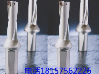 加工中心喷水钻WDX型U钻快速钻头专机暴力钻 直径D13-D图1