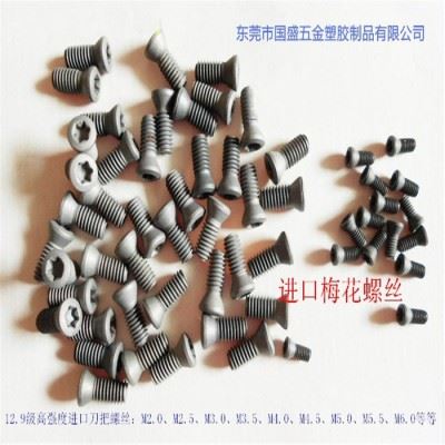 12.9级进口刀把螺丝 M4×10 刀把螺丝 双头螺丝 中心销 内六角扳手 红旗扳手 梅花扳手  数控刀具配件厂家图1