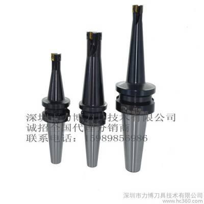 LEEPPLE可转位刀具 机夹刀具 可转位铣刀杆图2