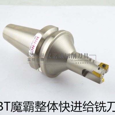 海纳BT40-TAP300R/400R一体式魔霸铣刀可转位动图3