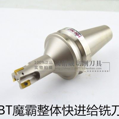 海纳BT40-TAP300R/400R一体式魔霸铣刀可转位动图2