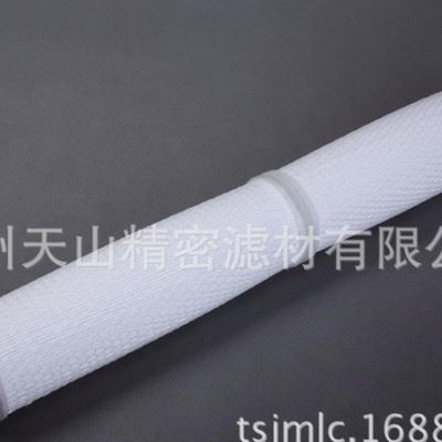 **_污水澄清、反渗透水系统前端过滤，有机溶剂、墨水、电镀液、金属切削液，感光抗水微孔/外用网套微孔折叠滤芯（MP）图1