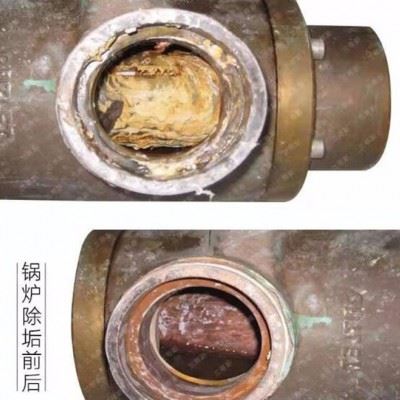 德燊DS0056 反渗透酸性清洗剂图5