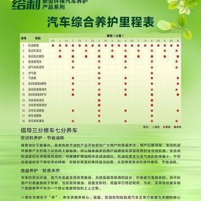 汽车燃油 喷油嘴清洗剂 汽车保养品 汽车维护品 汽车保养设备图6