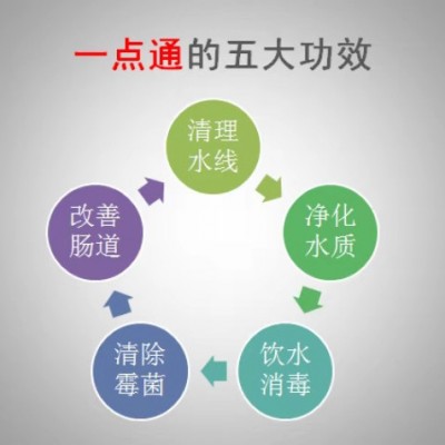 一点通 鸡舍消毒 预防非洲猪瘟 猪场消毒 清理水线 饮水消毒 清除污垢 液体水管清洗剂 兽用除垢剂 兽用设备接头清洗剂图5