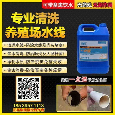 一点通 鸡舍消毒 预防非洲猪瘟 猪场消毒 清理水线 饮水消毒 清除污垢 液体水管清洗剂 兽用除垢剂 兽用设备接头清洗剂图2