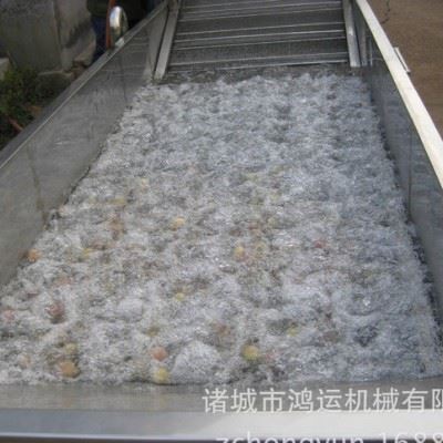 喷淋式气泡清洗机  白菜清洗剂机  蔬菜清洗机图1
