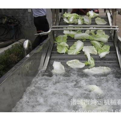 喷淋式气泡清洗机  白菜清洗剂机  蔬菜清洗机图3