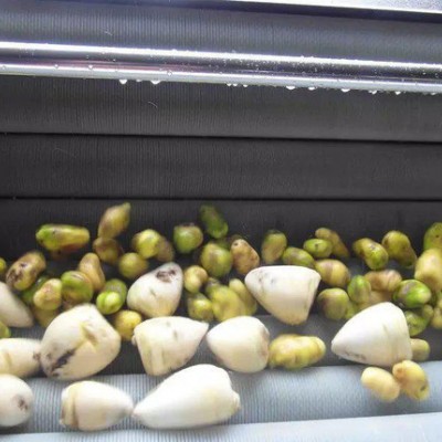 鸿运根茎类蔬菜清洗剂  萝卜清洗机 质量保证 全国包邮图3