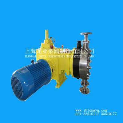 供应DM-02-16-X沉淀剂可移动计量泵 锅炉清洗剂计量泵图2