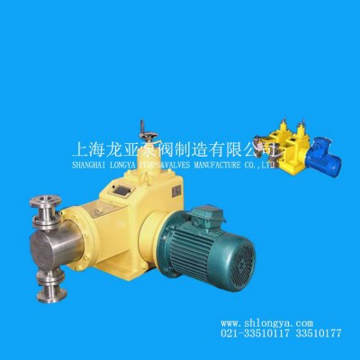 J-ZR12/32反渗透清洗剂投加泵 冶金柱塞计量泵图2