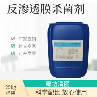 辽源反渗透专业絮凝剂配方还原 清丽反渗透专业清洗剂图2