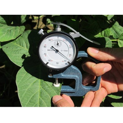 LS-3叶片厚度仪叶片测厚仪叶片健康测定仪水分养分测试仪图3