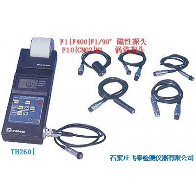 TT260涂层测厚仪(标配F1或N1探头) 原装**时代TT260覆层测厚仪图2