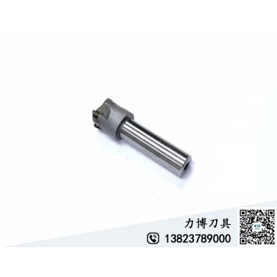 PCD刀具厂家LEEPPLE推出**价廉SWM系列PCD铣刀杆图3