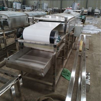 凯迪小型自动凉皮机 吉林数控蒸气凉皮加工设备 燃气圆形凉皮机 包教技术图4