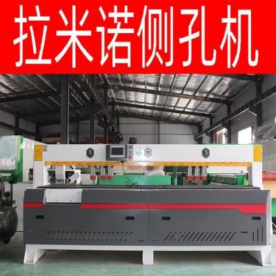 拉米诺开料机 直排带锯片加工中心 数控开料机 开料机价格图5