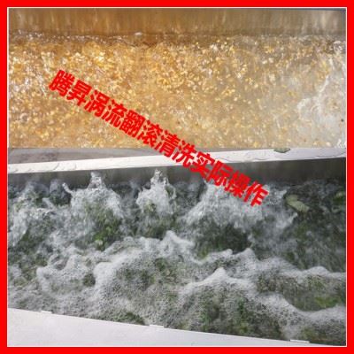 中央厨房清洗设备 洗菜机 蔬菜加工生产线 净菜加工生产线 配菜中心设备 定制品图3
