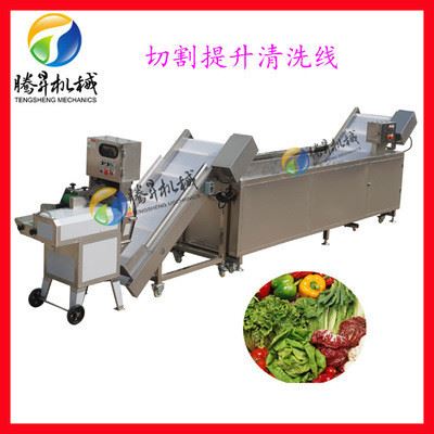 腾昇定制款 果蔬加工流水线厂家 净菜配送中心设备厂家价格图4